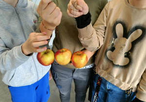 Trzech uczniów stoi obok siebie i trzyma jabłka zawieszone na sznurkach, przygotowując się do halloweenowej zabawy apple bobbing.”